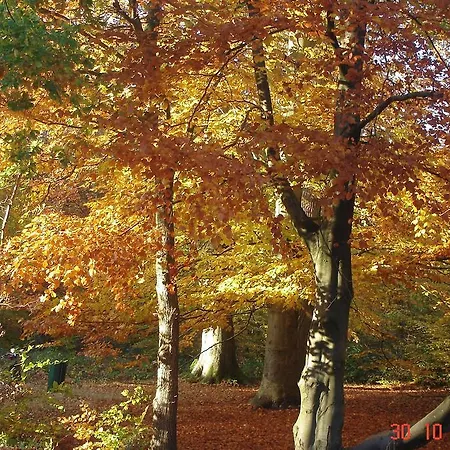 Immenhof Lägenhet Flensburg