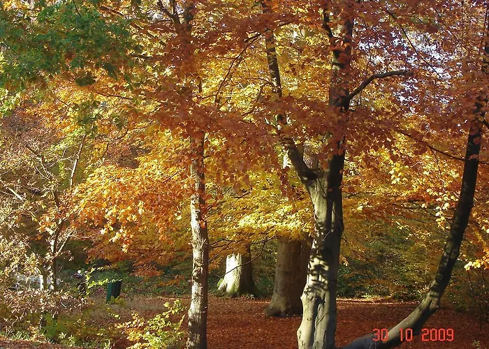 Immenhof Apartment Flensburg